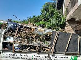 Best Residential Junk Removal in Penryn, CA